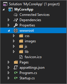 屏幕截图显示了 Visual Studio 解决方案资源管理器中选择的 w w w 根文件夹。