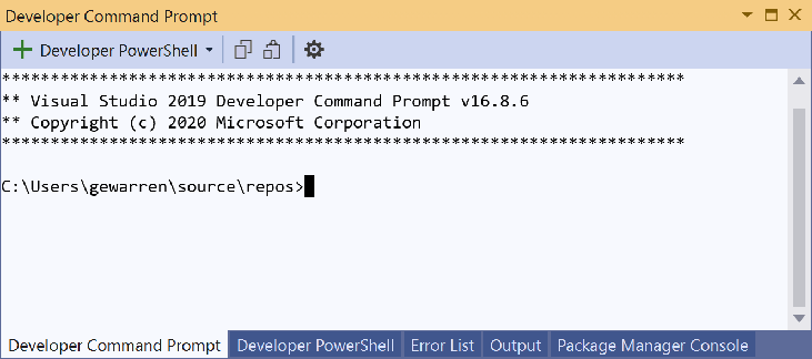 显示多个选项卡的 Visual Studio 终端屏幕截图。