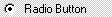 VisualStudioHTMLpageRadioButton 屏幕截图