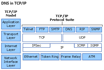 说明 TCP/IP 模型中的 DNS 的关系图，其中显示了 DNS 如何适应 TCP/IP 的不同层和协议。